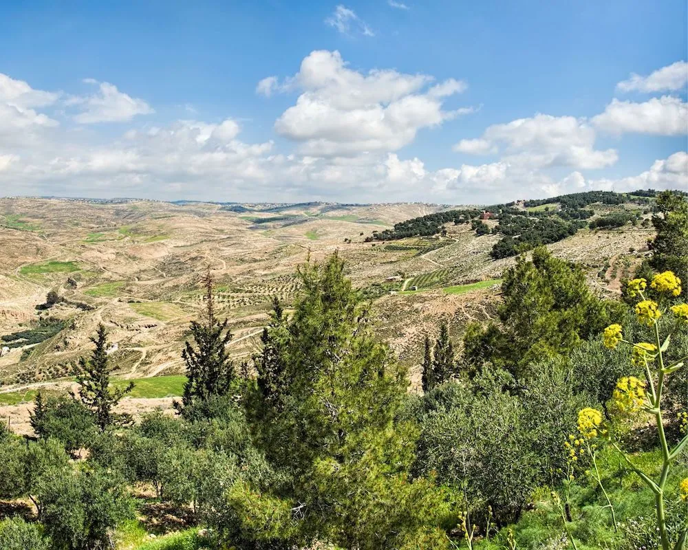 Green valleys and scenic landscapes viewed from the hills of Madaba, Jordan.